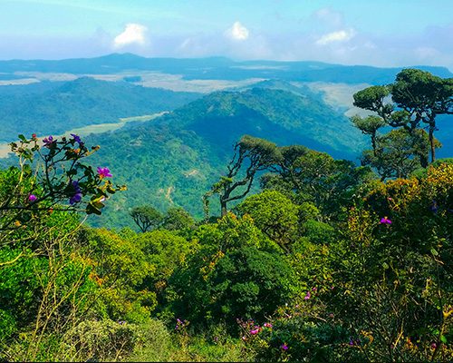 Horton Plains National Park