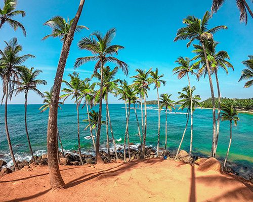 Mirissa Beach
