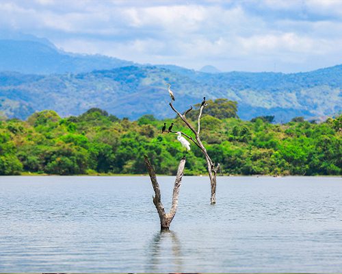 Tissamaharama Reservoir