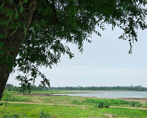 Udawalawe Reservoir